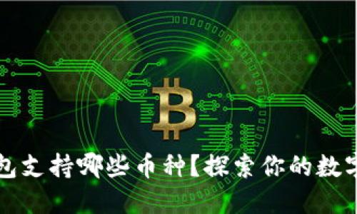 小狐狸钱包支持哪些币种？探索你的数字资产潜力
