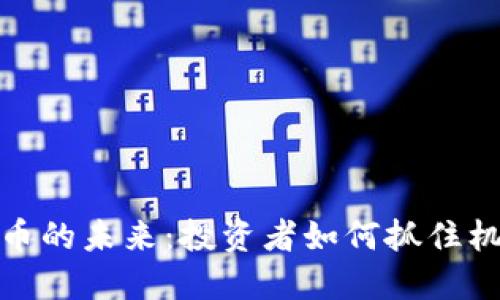 解密虚拟币的未来：投资者如何抓住机遇与风险