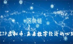 解码ZJP虚拟币：未来数字