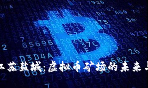 探秘江苏盐城：虚拟币矿场的未来与挑战