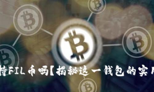 小狐狸钱包支持FIL币吗？揭秘这一钱包的实用性和未来潜力