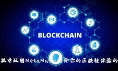 在火狐中玩转MetaMask：提升