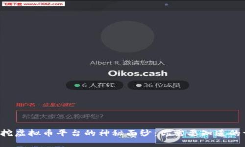 揭开挖虚拟币平台的神秘面纱：你需要知道的一切！