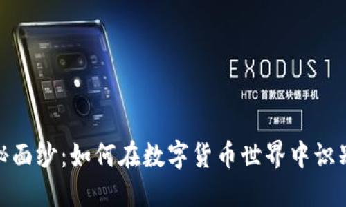 揭开虚拟币的神秘面纱：如何在数字货币世界中识别骗局与防范风险