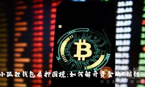 小狐狸钱包质押困境：如何解开资金的“锁链”？