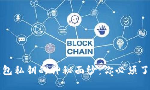 揭开小狐狸钱包私钥的神秘面纱：你必须了解的安全知识