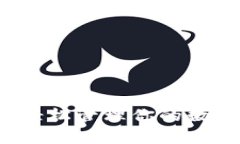 解锁小狐狸钱包：如何轻