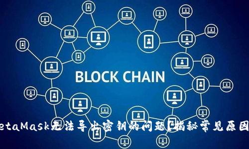 如何解决MetaMask无法导出密钥的问题？揭秘常见原因与解决方法