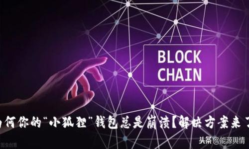 为何你的“小狐狸”钱包总是崩溃？解决方案来了！