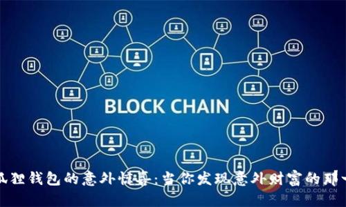 小狐狸钱包的意外惊喜：当你发现意外财富的那一刻