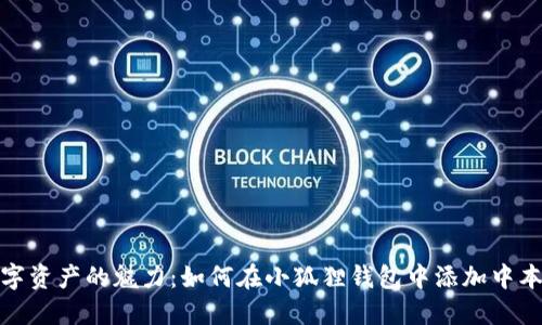 探索数字资产的魅力：如何在小狐狸钱包中添加中本聪网络