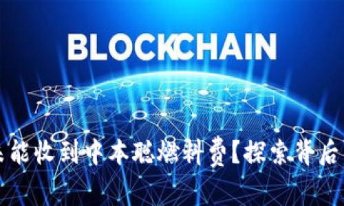 为何小狐狸钱包未能收到中本聪燃料费？探索背后的原因与解决方案