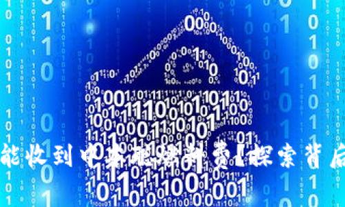 为何小狐狸钱包未能收到中本聪燃料费？探索背后的原因与解决方案