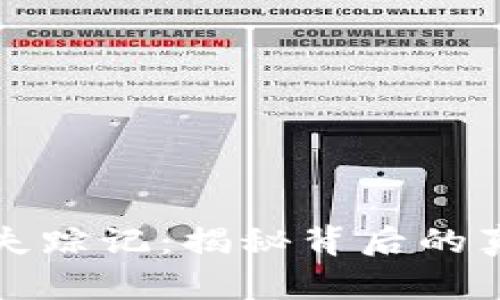 小狐狸钱包币失踪记：揭秘背后的真相与解决方案