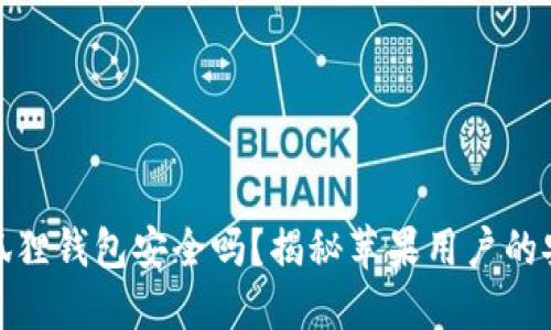 使用小狐狸钱包安全吗？揭秘苹果用户的安全疑虑