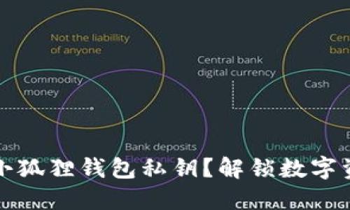 如何安全更改小狐狸钱包私钥？解锁数字资产保护新方式