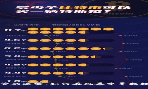 揭开虚拟币监管的迷雾：如何在风暴中寻找数字资产的未来