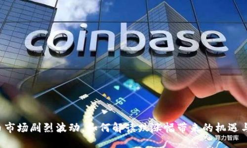 虚拟币市场剧烈波动，如何解读跌涨幅带来的机遇与挑战？