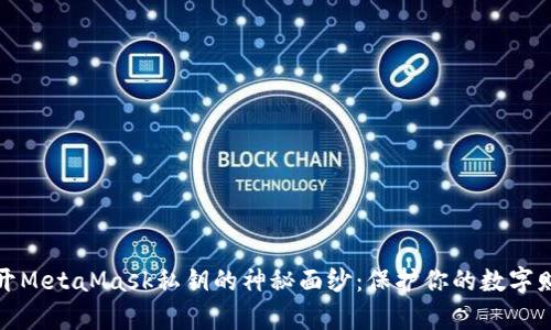 揭开MetaMask私钥的神秘面纱：保护你的数字财富