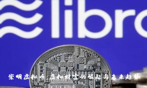 崇明虚拟币：虚拟财富的崛起与未来趋势