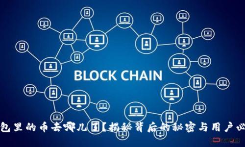 小狐狸钱包里的币去哪儿了？揭秘背后的秘密与用户必知的技巧