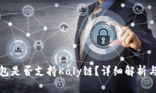小狐狸钱包是否支持Kaly链？详细解析与使用指南