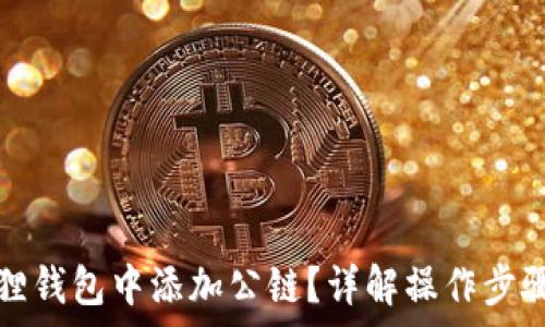   
如何在小狐狸钱包中添加公链？详解操作步骤与注意事项