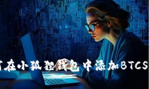 如何在小狐狸钱包中添加BTCS代币