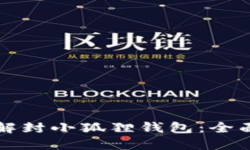 如何解封小狐狸钱包：全面指南