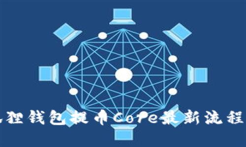 小狐狸钱包提币Core最新流程详解