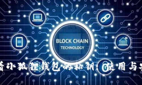 如何查看小狐狸钱包的私钥: 使用与安全指南