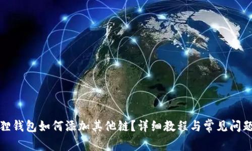 小狐狸钱包如何添加其他链？详细教程与常见问题解答