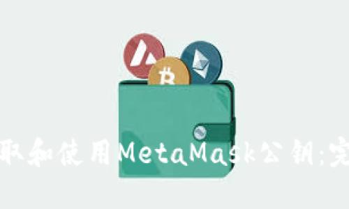 如何获取和使用MetaMask公钥：完整指南